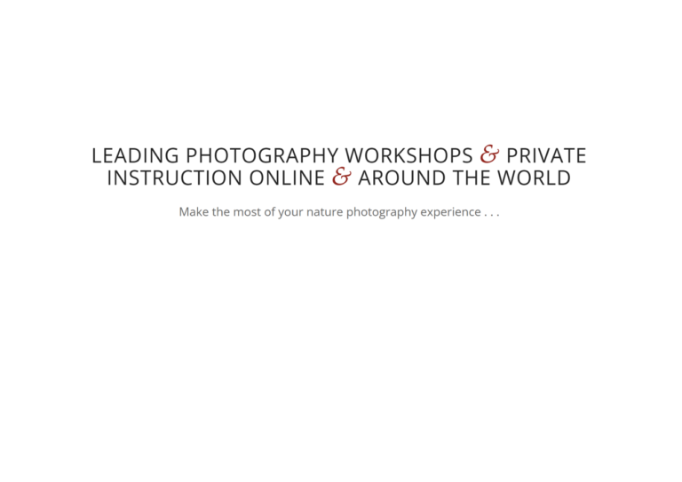 Lee Hoy Photographer