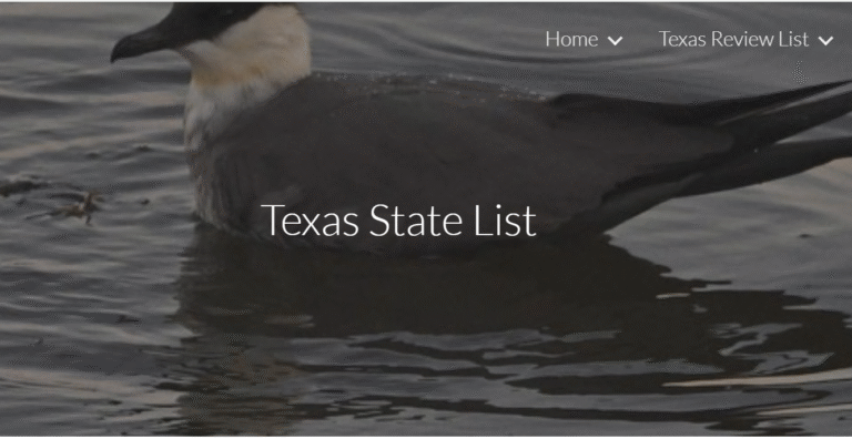 Texas Bird Records Committee Report