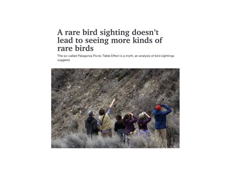 Patagonia Picnic Table Effect