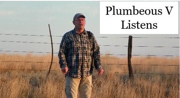 Breeding Bird Surveys