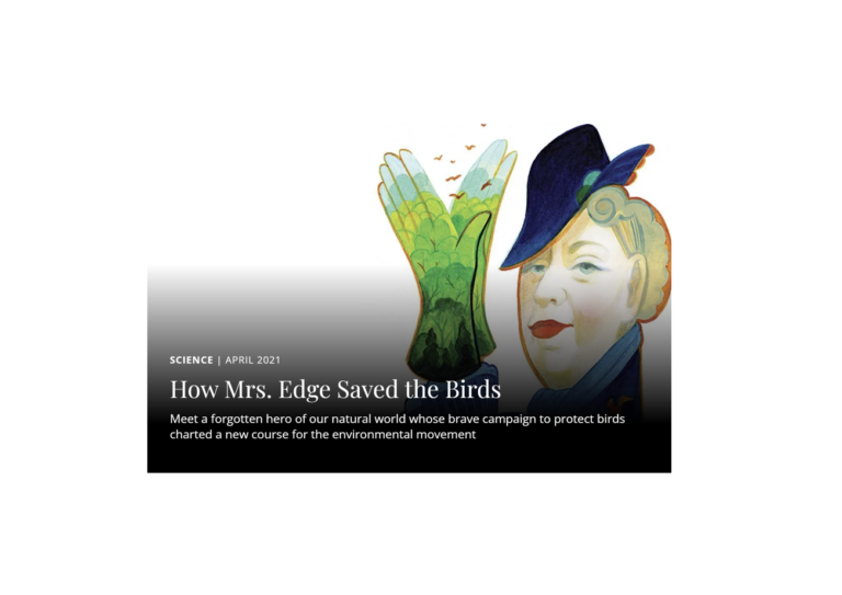 Saving Birds at Hawk Mountain