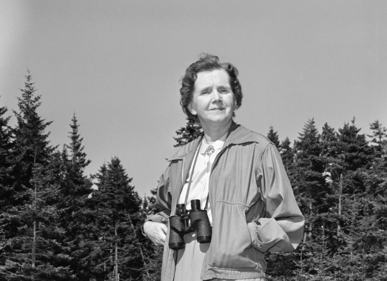 Seven Women Who Made the World Better