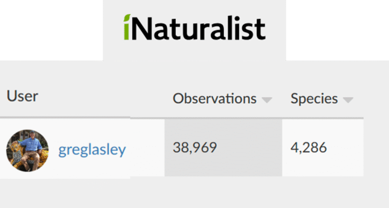 A Tribute to a Texas Naturalist