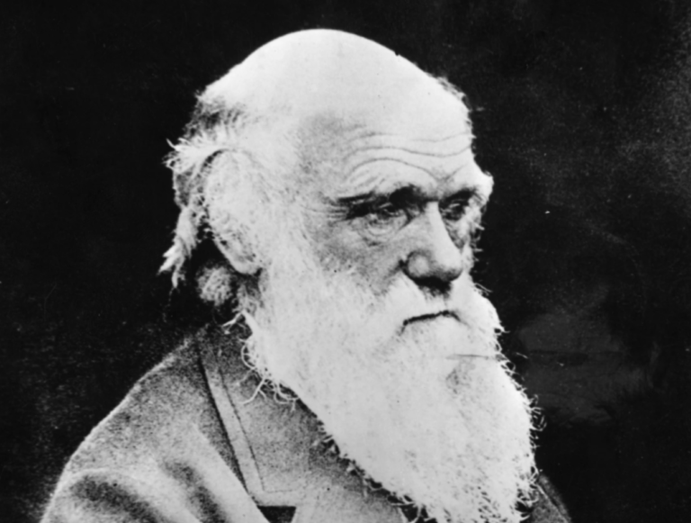 Darwin’s Missing Notebooks
