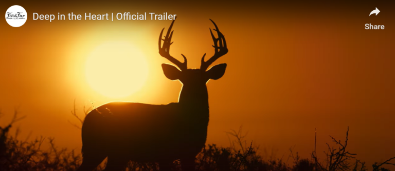 Deep in the Heart