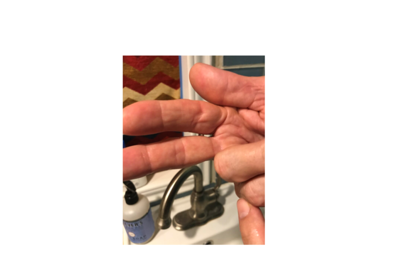 Phalarope Feeding Technique