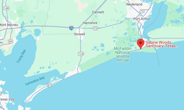 Sabine Woods TOS Sanctuary Expanding