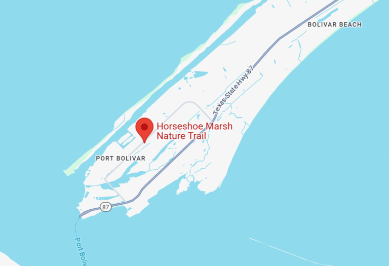 Horseshoe Marsh Nature Trail