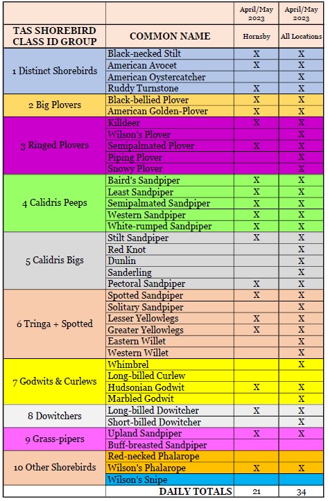 Shorebird Scorecard 2023