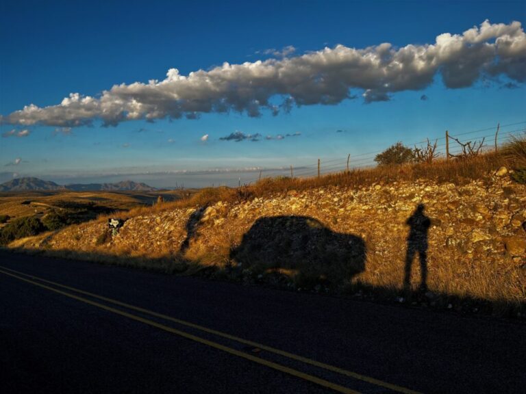 Marfa Breeding Bird Survey