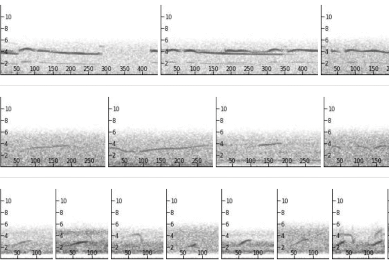 Night Flight Tracking