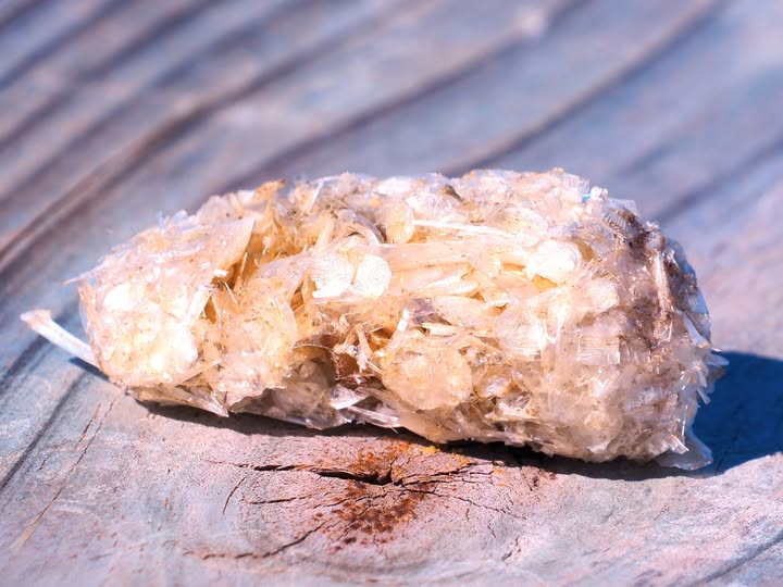 Food Pellet Turnbull