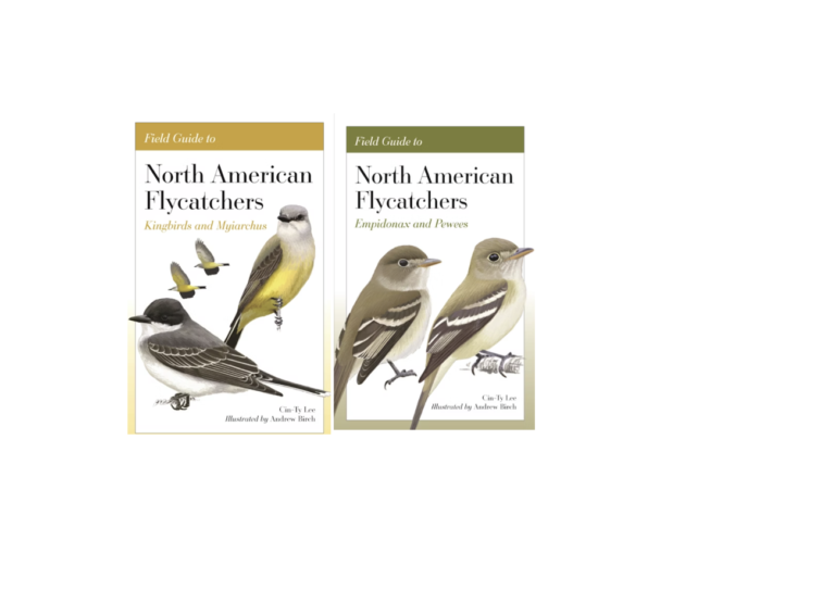 North American Flycatchers Book