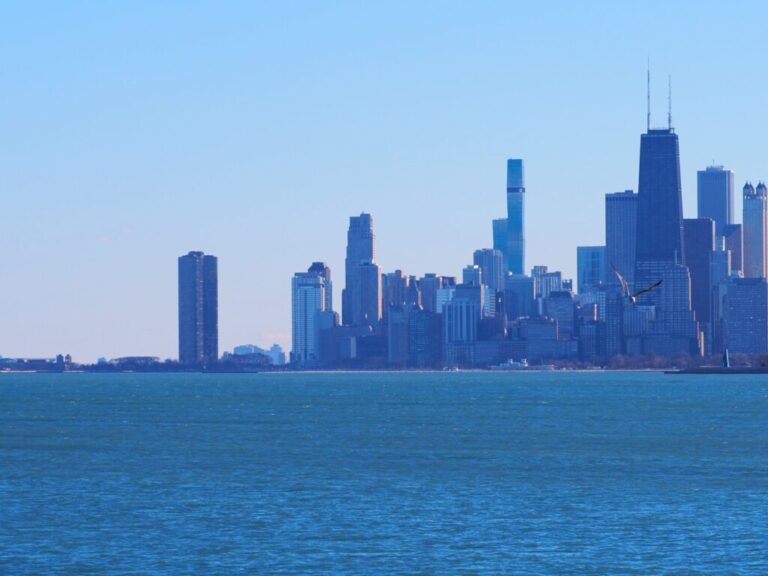 Gull Frolic Chicago 2024