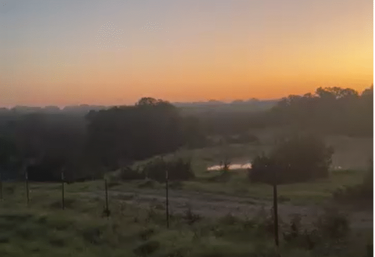 Insect Song Near Dacha