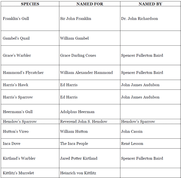 Bird Names for Birds 7
