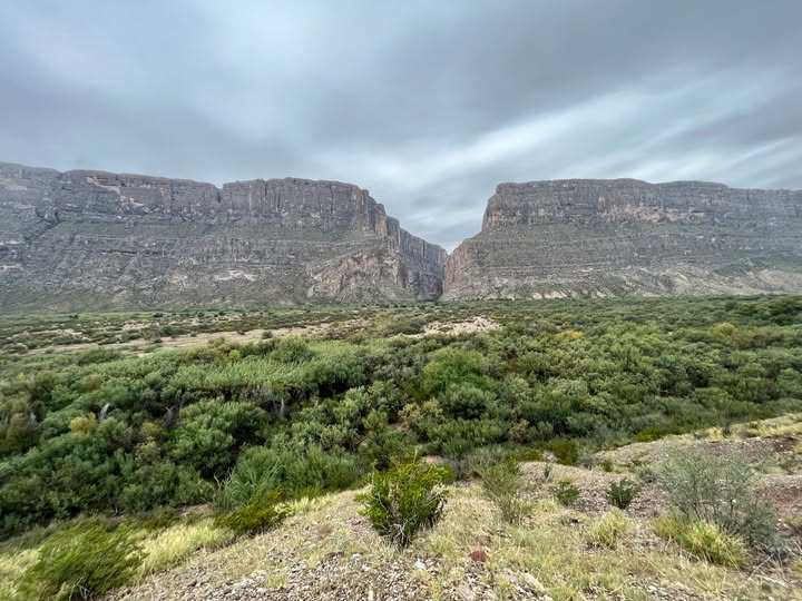 Nutting’s Flycatcher Big Bend